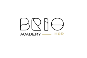 Responsable de Petite ou Moyenne Structure